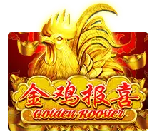 Golden Rooster