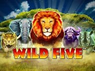 Wild Five